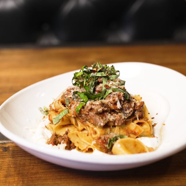 A white bowl of pappardelle pasta with braised short rib, fresh basil, and grated cheese.